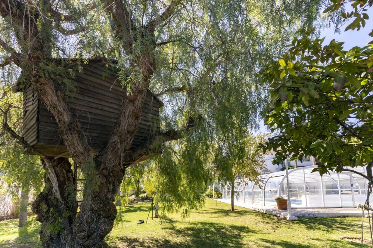 Villa Tocororo En Pinos De Alhaurin Alhaurín de la Torre Eksteriør bilde